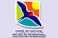 comit d'office de tourisme guadeloupe